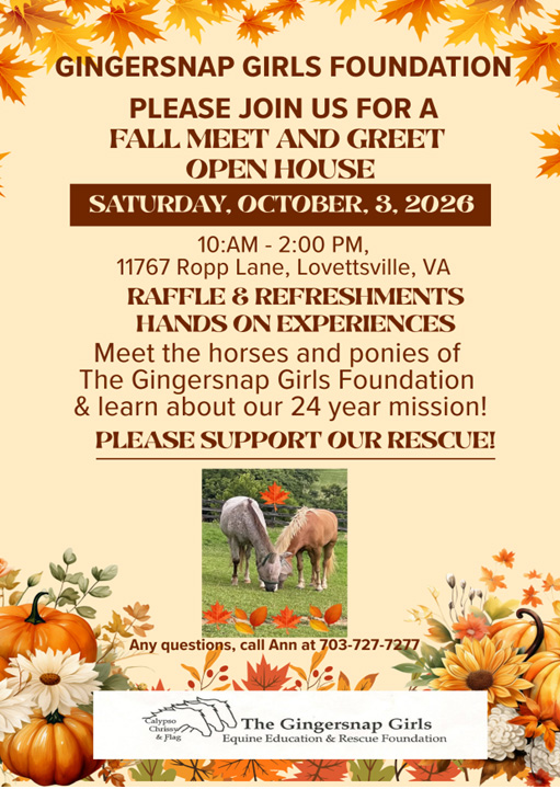 Open House