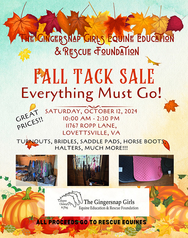 Fall Tack Sale