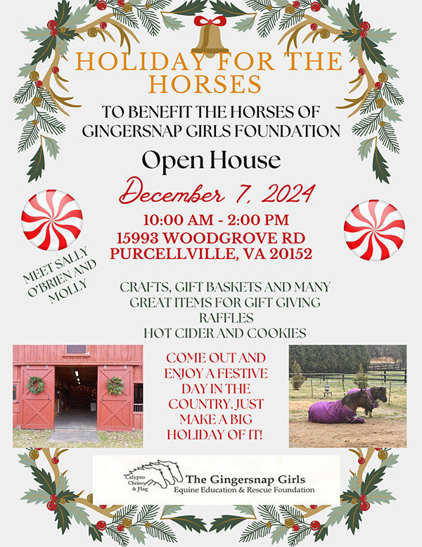 Annual Holiday Bazaar